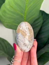 Image 1 of MEXICAN LACE AGATE SHIVA C