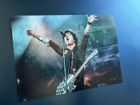 Green Day - Billie Joe Armstrong (Dublin)