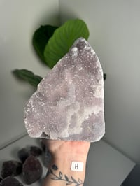 Image 8 of XL SELF STANDING COTTON CANDY APOPHYLITE CUT BASES -INDIA-