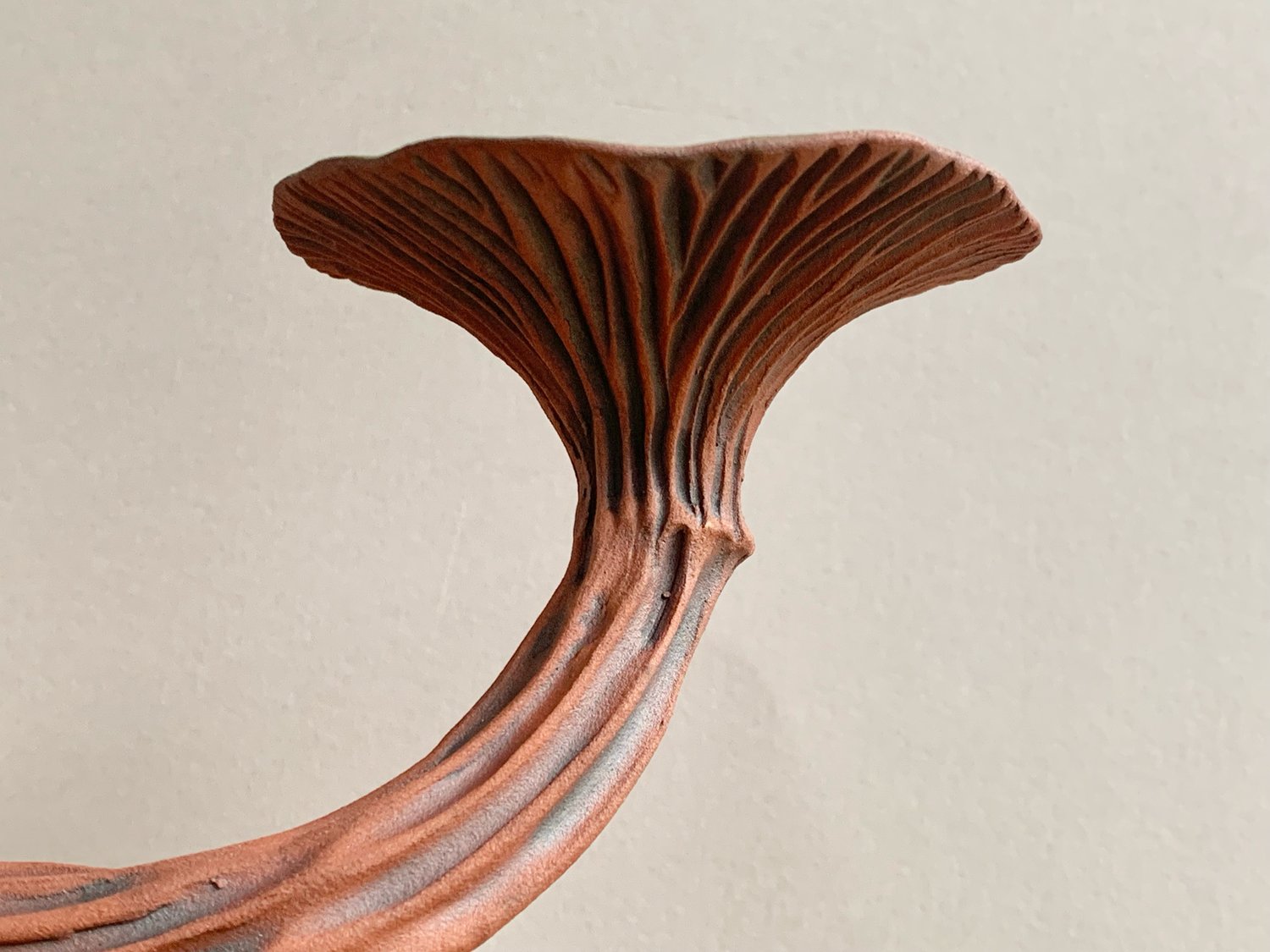 Image of Olive Wall Mushroom 