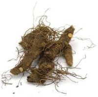 Bloodroot Whole 1 ounce