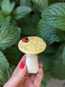 Image 4 of Ceramic Mushrooms