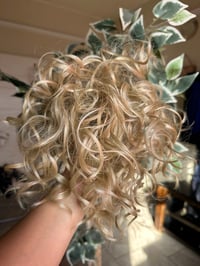 Image 1 of Chongo Champagne 🍾 