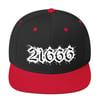 21666 Snapback Hats