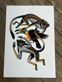 Image 2 of Monkeys and toucan 