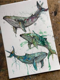 Image 1 of 3 Baleines 