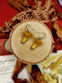 Image 1 of Kolczyki pieprznik jadalny 