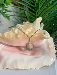 Image 1 of Scallop Shell Necklace N205