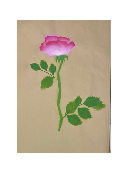 Image of Rose ‘Ulrich Brunner’ - 1 rose (3)