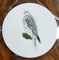 Image 4 of Gyr Falcon - No.48 - UK Birding Series