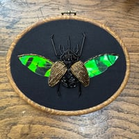 Image 4 of Beetle (5x7 inches)