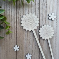 Image 2 of Decorative Reed Sticks