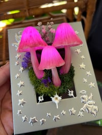 Image 3 of Small silver led mushroom frame
