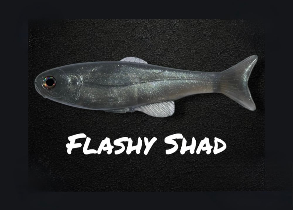 Roma Trout - Flashy Shad