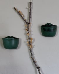 Image 4 of 'Esmeralda' Floating Pot Set