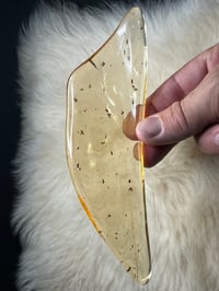 Image 20 of Copal Amber With Preserved Insects #2357