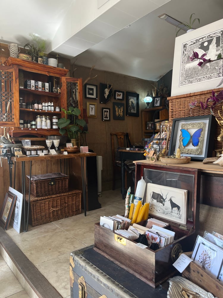 Image of Custom Rachael 