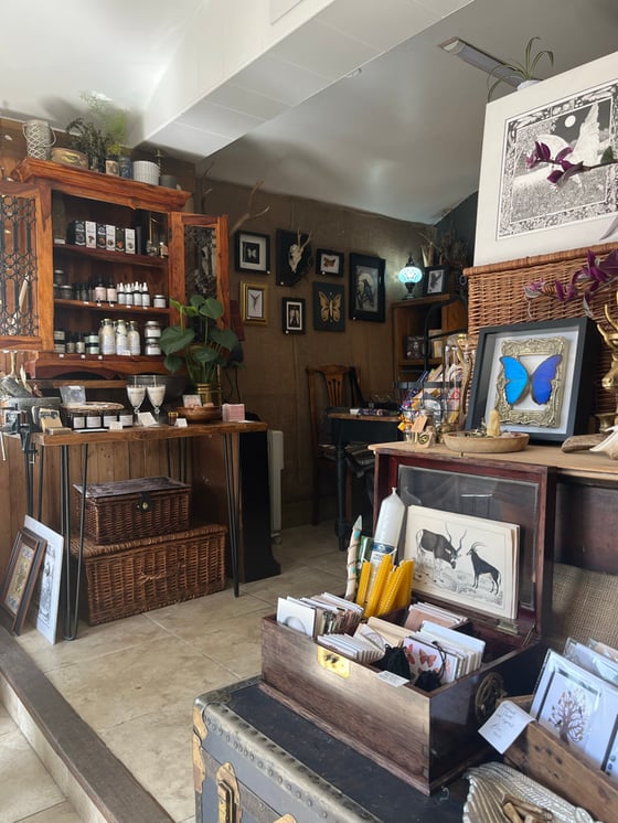 Image of Custom Rachael 