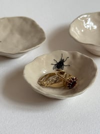 Image 2 of Fly Dish