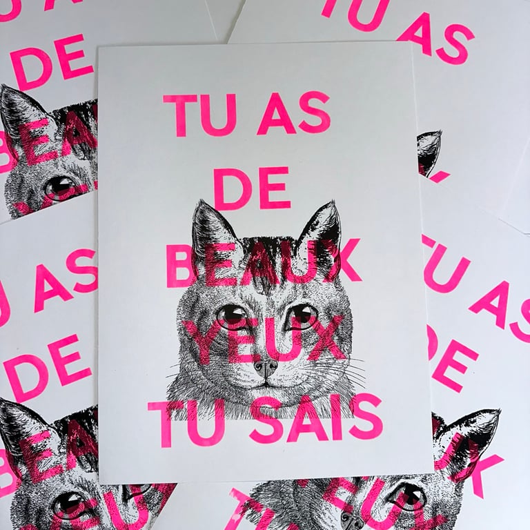 Affiche « Tu as de beaux yeux tu sais » version chat chat 