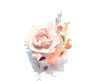 ROSE WATER + HYDRATING MIST 