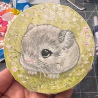 Image 2 of baby chinchilla 🌸