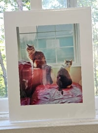 Image 2 of Rice and Gravy- 1st Place Photo at the Alaska State Fair