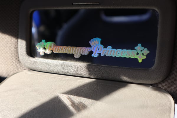 Image of Passenger Princess ✨️