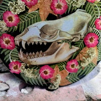 Image 3 of Fox Skull and Roses 