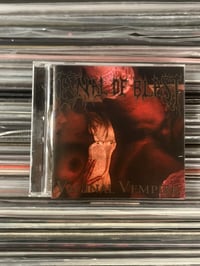Image 1 of CD Anal Blast «Vaginal Vempire» Original