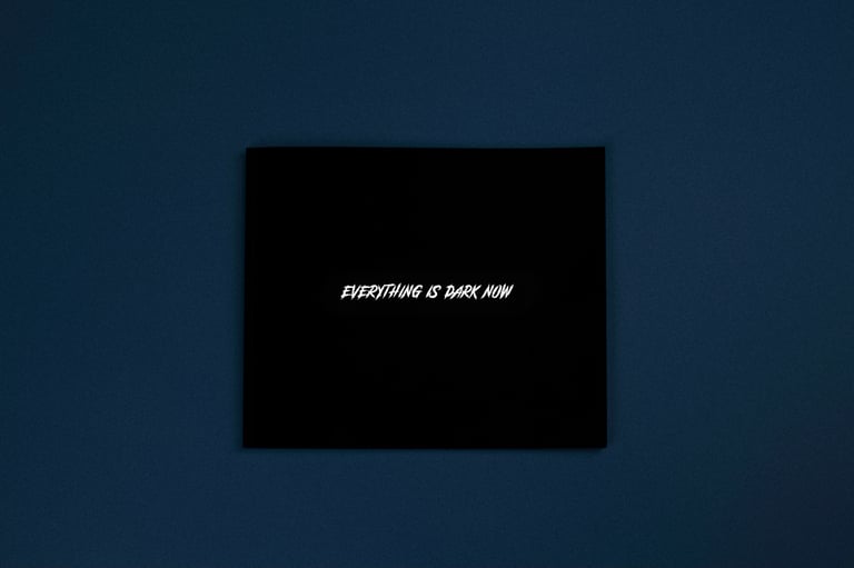 "Everything Is Dark Now"(HARD COVER)