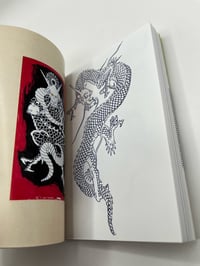Image 7 of 108 Dragons Ivan Százi