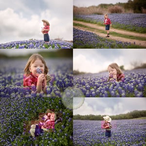 Image of Bluebonnet Family Mini