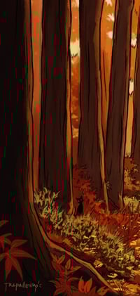 Image 4 of FLORES DE OTOÑO 