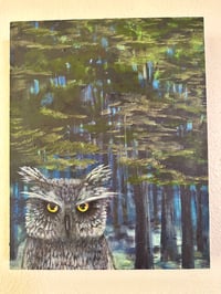 Image 4 of Owl During a Full Moon