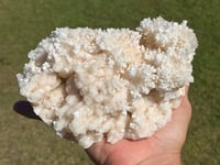 Image 5 of Aragonite On White Calcite Specimen #1243