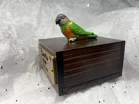 Image 9 of Handmade Custom Engraved Senegal Parrot To Your Photos Bird Urn Figurine Pet Portrait Memorial