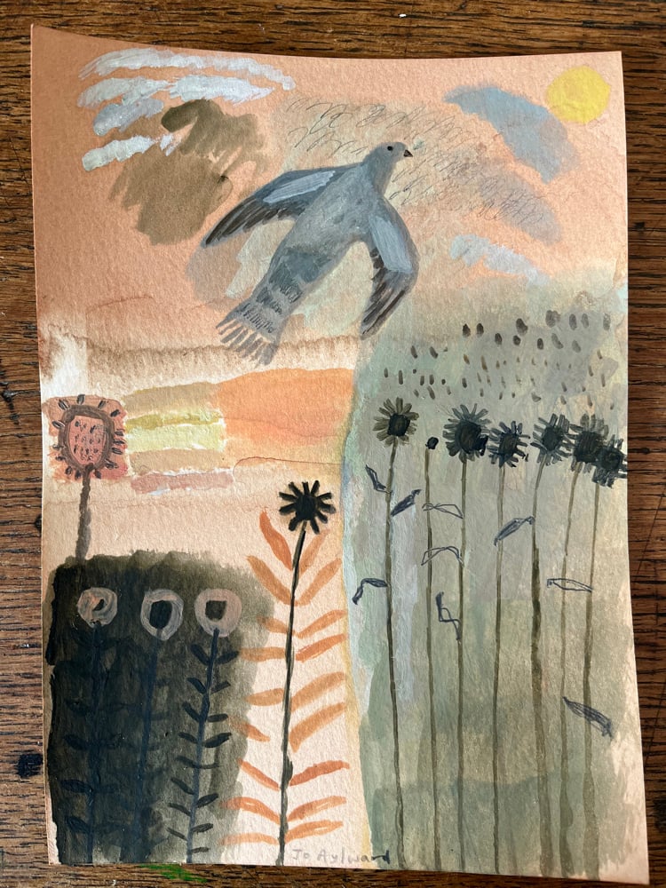 Image of Pigeon in a winter garden 