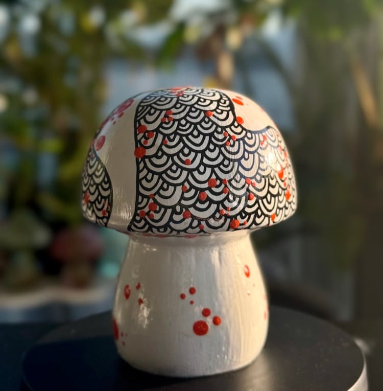 Image of mush mush no. 6