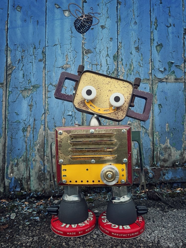 Image of Flash (the 2nd)