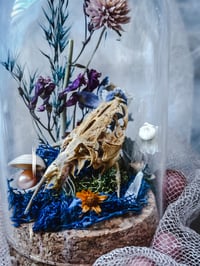 Image 1 of Tiny catfish skull Sea Witch Vial