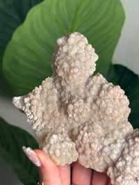 Image 3 of SELF STANDING SPARKLY APOPHYLITE STALACTITES -INDIA- F
