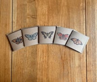 Image 2 of 5 Card Notelet/Greeting card set (Butterflies)