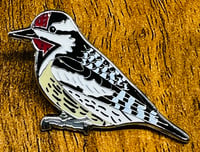 Image 2 of Yellow-bellied Sapsucker - No.15 - Bird Pin Badge Group Series