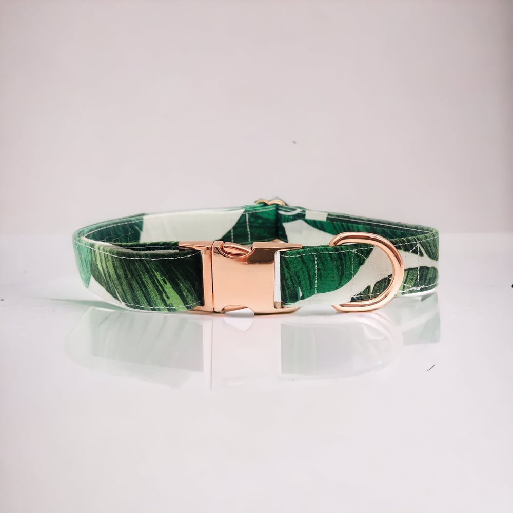 Image of Tropical Collar