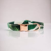 Tropical Collar