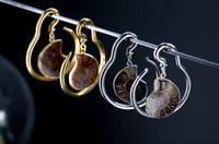 Image 1 of Ear Hangers - Ammonite Shell - Natural - Stainless Steel 316L - 4mm - Silver Gold - Gauges 