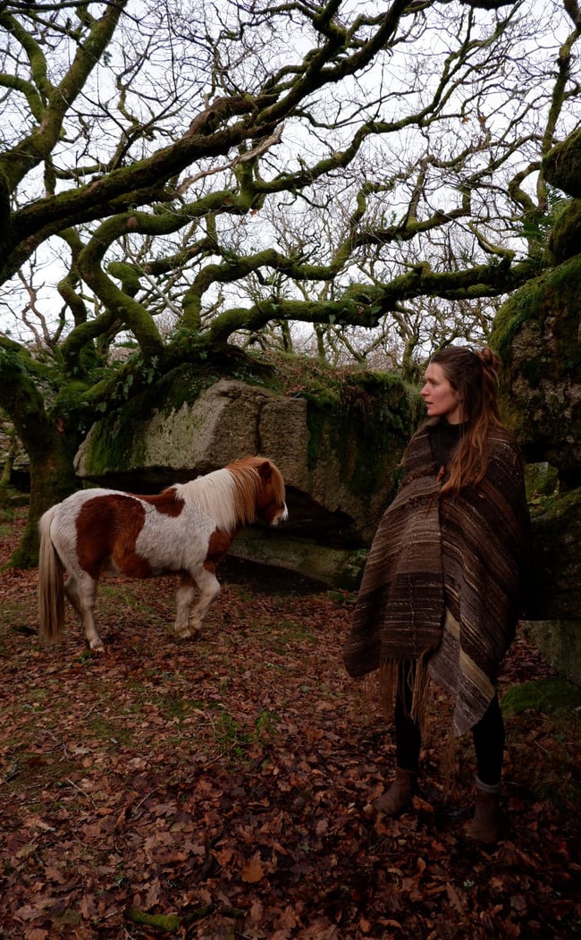 Made to Order: Lichen and Lands Dreaming