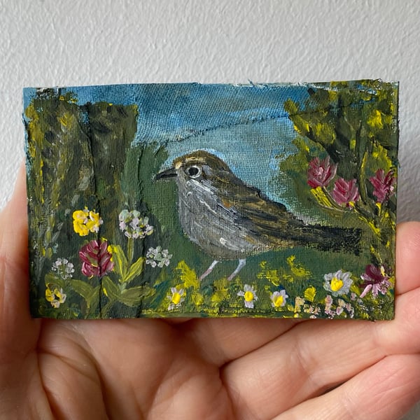 Image of sparrow in a summer wild garden 