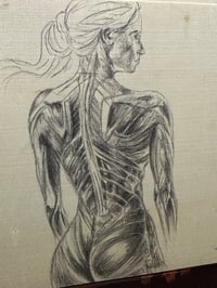 Image 2 of Skin Deep